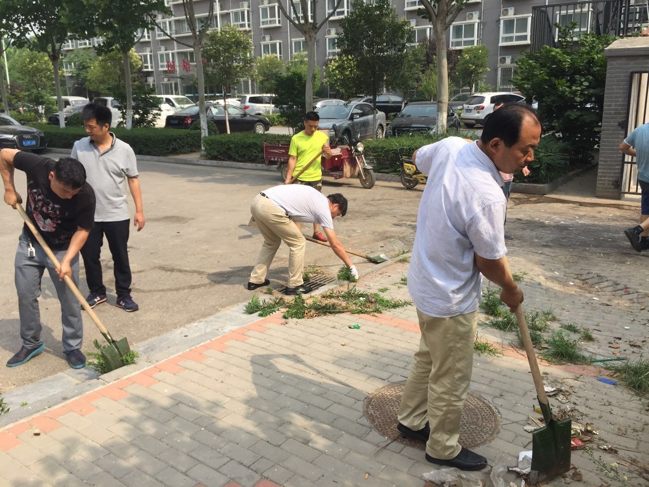 2017年6月19日后勤处志愿者义务劳动 (64).jpg 2017年6月19日后勤处志愿者义务劳动 (64).jpg