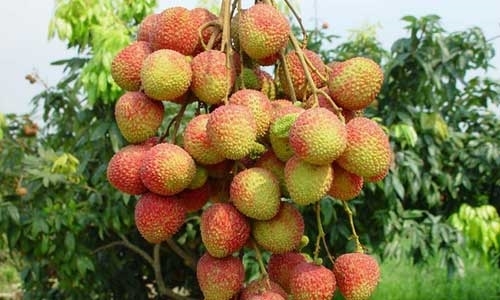 e848b1dad6f0809575b8e9e2a9f1aba4.jpg e848b1dad6f0809575b8e9e2a9f1aba4.jpg