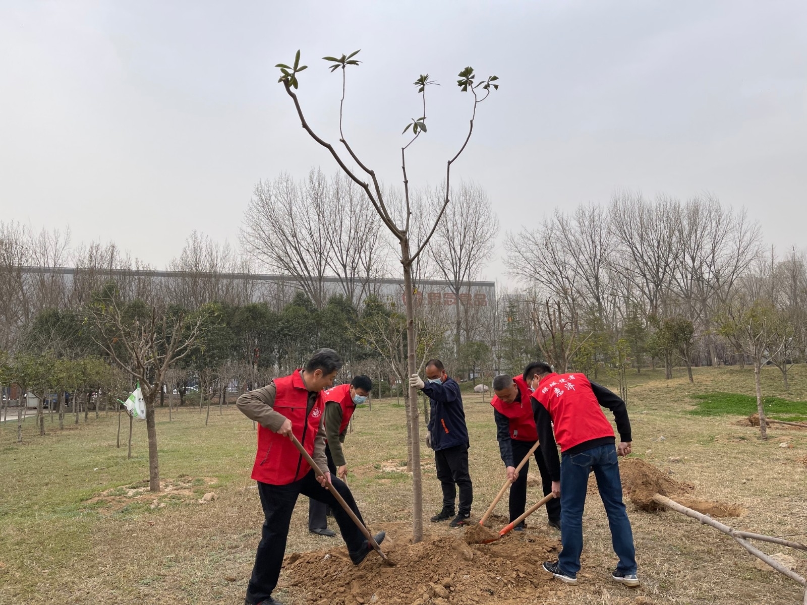 微信图片_202203161031122.jpg 微信图片_202203161031122.jpg